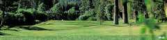 Bear Mountain Golf Course - Golf - 43104 Goldmine Dr, Big Bear Lake, CA, 92314 Bear Mountain Golf Course - Golf - 43104 Goldmine Dr, Big Bear Lake, CA, 92314
