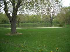 Lakeview Community Park - Attraction - 6300 Mendota Avenue, Middleton, Wisconsin, United States