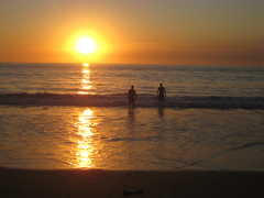 The beach for Friday afternoon - Entertainment - 