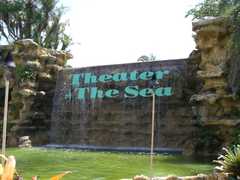 Theater of the Sea - Attraction - 84721 Overseas Highway, Islamorada, FL, United States
