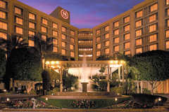 Phoenix Wedding In February in Phoenix, AZ, USA Phoenix Wedding In February in Phoenix, AZ, USA