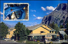 Canmore Alberta Wedding In September in Canmore, AB, Canada Canmore Alberta Wedding In September in Canmore, AB, Canada