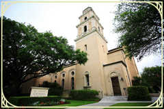 Houston Wedding In November in Houston, TX, USA