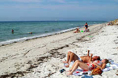 Chapoquoit Beach - Beaches - 135 Chapoquoit Rd, Falmouth , MA Chapoquoit Beach - Beaches - 135 Chapoquoit Rd, Falmouth , MA