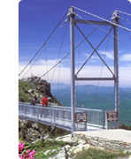 Grandfather Mountain - Attraction - 