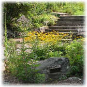 Daniel Boone Native Gardens - Attraction - 651 Horn In the West Dr, Boone, NC, United States