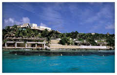 Garrafon Park and Dolphin Encounter - Attraction - Km 6 Carr Garrafón, Mz 41 Lote 12 Sm 9 Punta Sur
