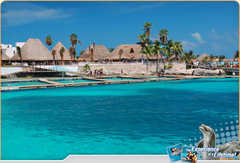 Dolphin Discovery - Attraction - Camino Sac Bajo Lote 26, Isla Mujeres, Mexico