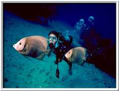 Deep Sea Diving: Carey Dive Center - Attraction - 13 Matamoros, Isla Mujeres, Q.r., Mexico