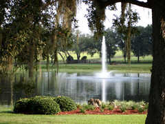 Weirsdale Wedding In March in Mt. Dora, FL, USA Weirsdale Wedding In March in Mt. Dora, FL, USA