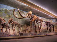 UNL State Museum - Morrill Hall & Mueller Planatarium - Attraction - N 14th St & Vine St, Lincoln, NE, United States UNL State Museum - Morrill Hall & Mueller Planatarium - Attraction - N 14th St & Vine St, Lincoln, NE, United States