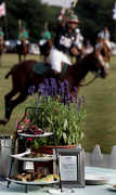 Saturday, June 26, 2010- 5PM  Polo Match & Tailgate - Polo Match - 715 E Main Rd, Portsmouth, RI, 02871, US