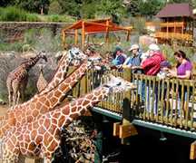 Cheyenne Mountain Zoo - Attraction - Cheyenne Mountain Zoo, Colorado Springs, CO 80906, US