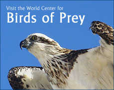 World Center For Birds of Prey  - Attraction - 5668 West Flying Hawk Lane, Boise, ID, United States