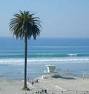 Moonlight State Beach - Attraction - 400 B St, Encinitas, CA, United States