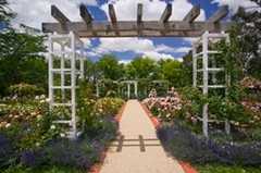 Canberra Act Wedding In September in Hall, ACT, Australia Canberra Act Wedding In September in Hall, ACT, Australia