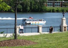 Albany Aqua Ducks - Attraction - Albany, New York, United States