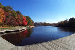 Turkey Swamp Park - Outdoor Fun - 200 Georgia Road, Freehold, NJ, 07728 Turkey Swamp Park - Outdoor Fun - 200 Georgia Road, Freehold, NJ, 07728
