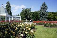 Niagara Parks Botanical Gardens - Attraction - 2565 Niagara Pkwy, Niagara Falls, ON, Canada