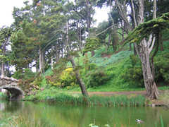 Golden Gate Park - Attraction - Golden Gate Park, San Francisco, CA, CA, US Golden Gate Park - Attraction - Golden Gate Park, San Francisco, CA, CA, US