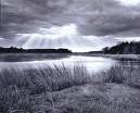 Plum Island Wildlife Refuge! - Cool spots to check out - Plum Island, Massachusetts, Massachusetts, US Plum Island Wildlife Refuge! - Cool spots to check out - Plum Island, Massachusetts, Massachusetts, US