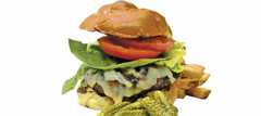 Mr. Bartley's Burgers - Boston Restaurants - 1246 Massachusetts Avenue, Cambridge, MA, United States Mr. Bartley's Burgers - Boston Restaurants - 1246 Massachusetts Avenue, Cambridge, MA, United States