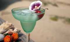 Windrift Hotel  - Hotel - 125 80th St, Avalon, NJ, United States