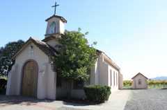 Rutherford Wedding In June in Rutherford, CA, USA