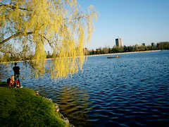 Dow's Lake - Attraction - Dow's Lake, CA Dow's Lake - Attraction - Dow's Lake, CA