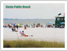 Siesta Beach - Beach - 5118 Ocean Boulevard, Sarasota, FL, United States