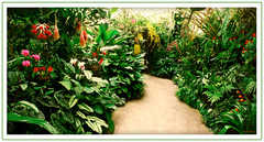 Marie Selby Botanical Gardens - Attraction - 811 South Palm Avenue, Sarasota, FL, 34236, USA