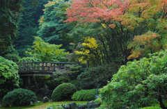 Portland Rose Gardens - Attraction - 400 SW Kingston Ave, Portland, OR, United States