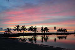 Matheson Hammock Park - Ceremony - 9610 Old Cutler Rd, Miami, FL, United States