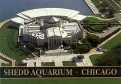 John G Shedd Aquarium - Attraction - 1200 S Lake Shore Dr, Chicago, IL, USA John G Shedd Aquarium - Attraction - 1200 S Lake Shore Dr, Chicago, IL, USA
