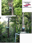 Extreme Adventure Park - Attraction - Extreme Adventure Park - Attraction -