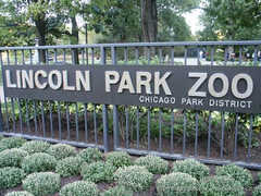 Lincoln Park Zoo - Attraction - 2200 N Cannon Dr, Chicago, IL, United States