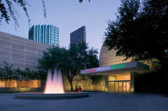 Dallas Wedding In November in Dallas, TX, USA
