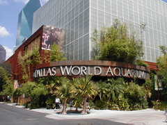 Dallas World Aquarium - Attraction - 1801 N Griffin St, Dallas, TX, United States