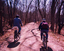 Great Falls Park - Outdoor Activity - Hiking - Great Falls National Park, US