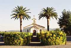 Napa Wedding In October in Napa, CA, USA Napa Wedding In October in Napa, CA, USA