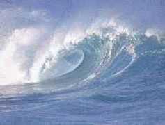 Ehukai Beach Park (Banzai Pipeline) - Attraction - 59-104 Kamehameha Highway, Honolulu, HI, United States