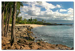 Waimea Falls Park - Attraction - 61228 Kamehameha Hwy, Honolulu, HI, 96712, US