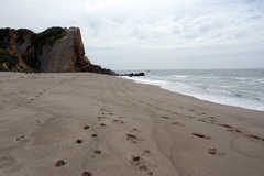 Zuma Beach - Beach - 30000 Pacific Coast Highway, Malibu, CA, United States