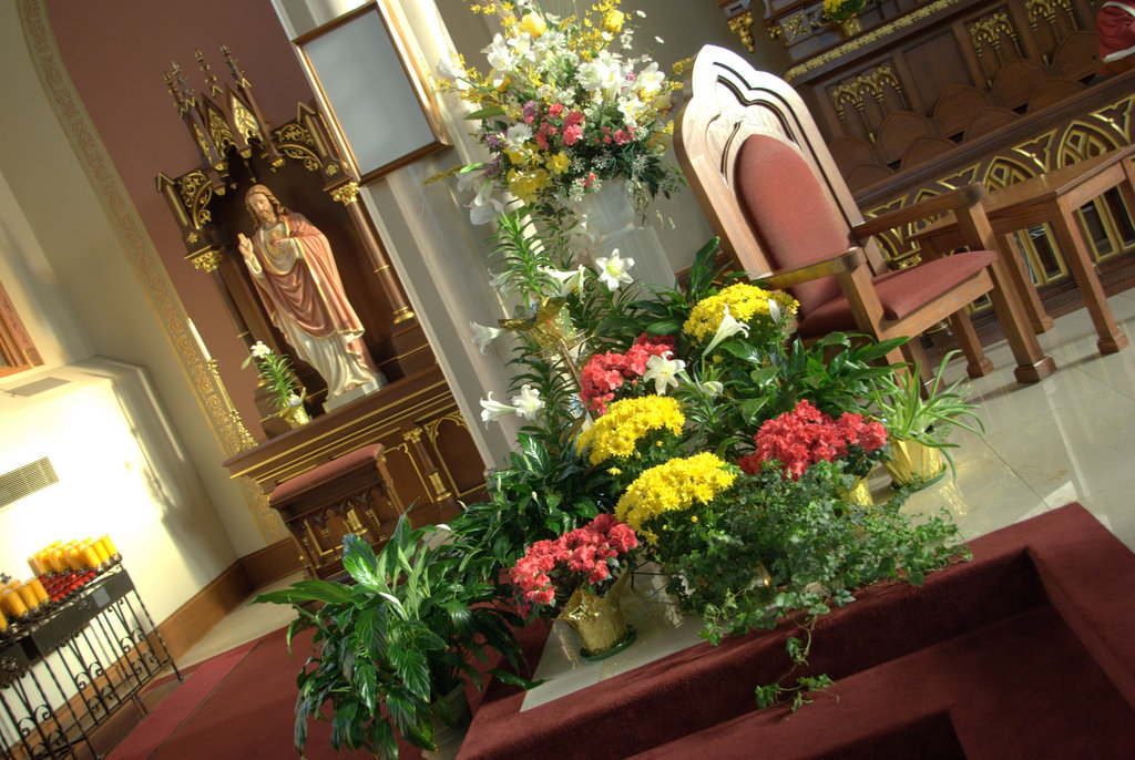 245934_l