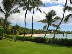 Maui Wedding In June in Kihei, HI, USA