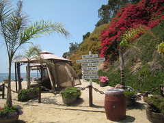paradise cove - Restaurant - 28128 Pacific Coast Hwy, Malibu, CA, 90265, US
