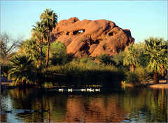 Tempe Wedding In November in Tempe, AZ, USA Tempe Wedding In November in Tempe, AZ, USA