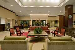 Raleigh Hilton - Reception - 3415 Wake Forest Road, Raleigh, NC, United States Raleigh Hilton - Reception - 3415 Wake Forest Road, Raleigh, NC, United States