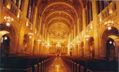 Toledo Wedding In October in Toledo, OH, USA Toledo Wedding In October in Toledo, OH, USA