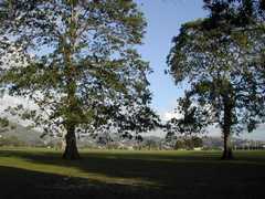 Savanah ( Carnival) - Park - Queen's Park Savannah, St Ann's, St George Savanah ( Carnival) - Park - Queen's Park Savannah, St Ann's, St George